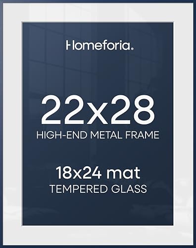 22x28 Blue Poster Frame