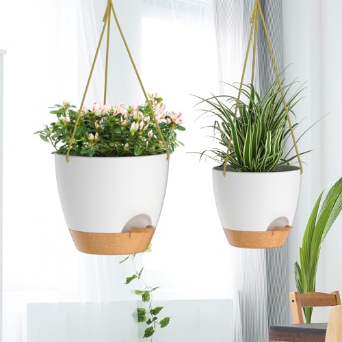 10 Inch Hanging Planters for Indoor Outdoor Plants (2 Count)