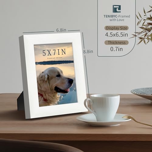 5x7 picture frame 3 Pack (3 Count)
