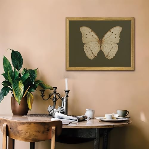 Wood Framed Butterfly Wall Art