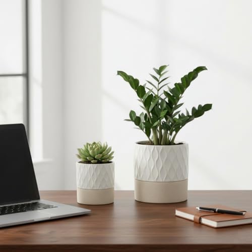 Ceramic Self Watering Plant Pot for Indoor Plants