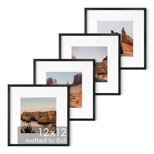12x12 Black Metal Picture Frames Matted to 8x8