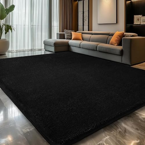 4x6 Area Rugs for Living Room Bedroom (24 Sq Ft)