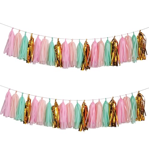 Shiny Tassel Garland Tissue Paper Tassel Banner