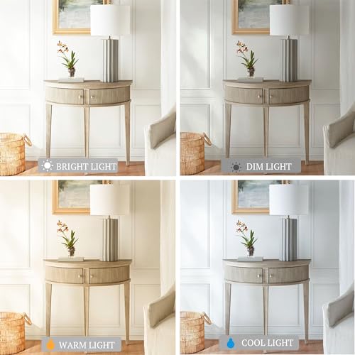 Crestview Hall Console Table for Entryway with Storage