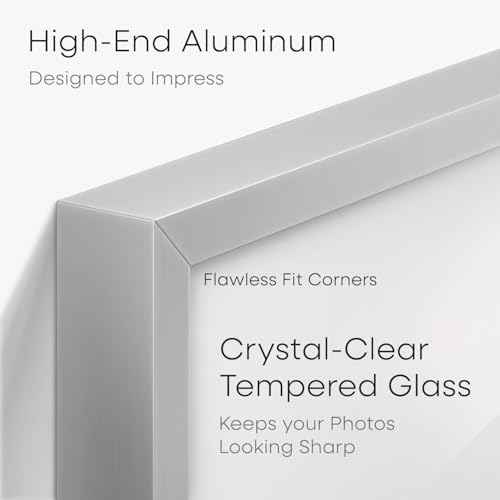 5x10 Silver License Frame