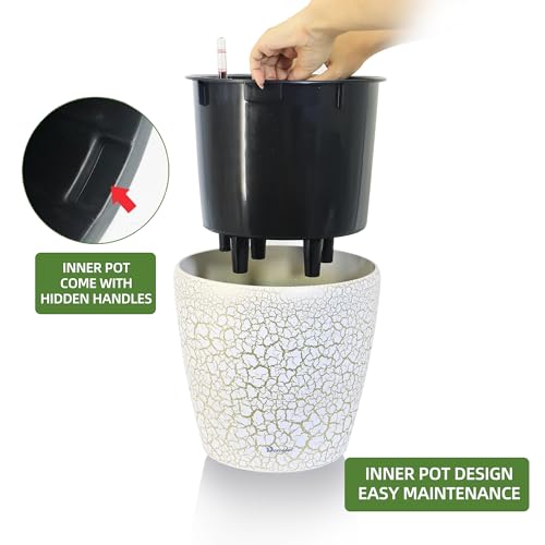 9x8 Self Watering Planter