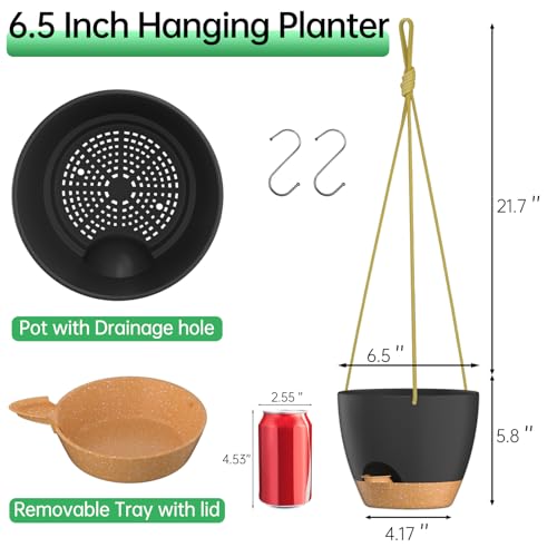 6.5 Inch Hanging Planters for Indoor Outdoor Plants (2 Count)
