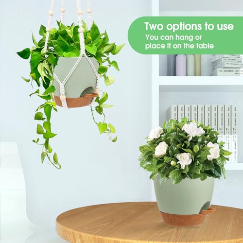 Hanging Planters for Indoor Outdoor Plants (2 Count)