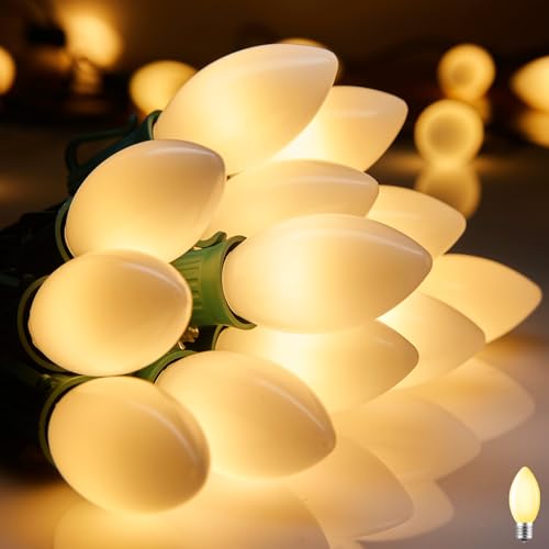 25Ft Christmas Lights Outdoor (25 Count)