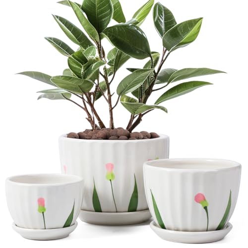 Ceramic Plant Pots with Saucers (3 Count)