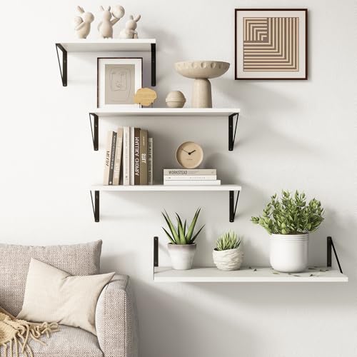 10 Inch Deep Floating Shelves (2 Count)