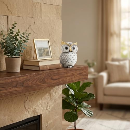 Black and White Owl Statue