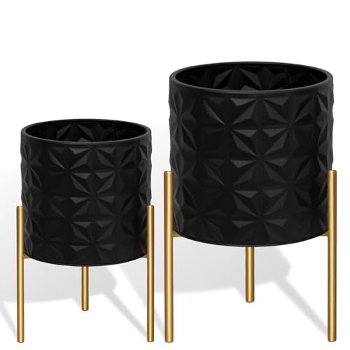Modern Planter Pots (2 Count)