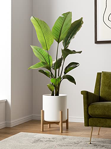 12 Inch Pot for Plants