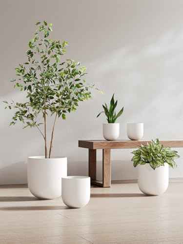 6 Inch Plant Pot