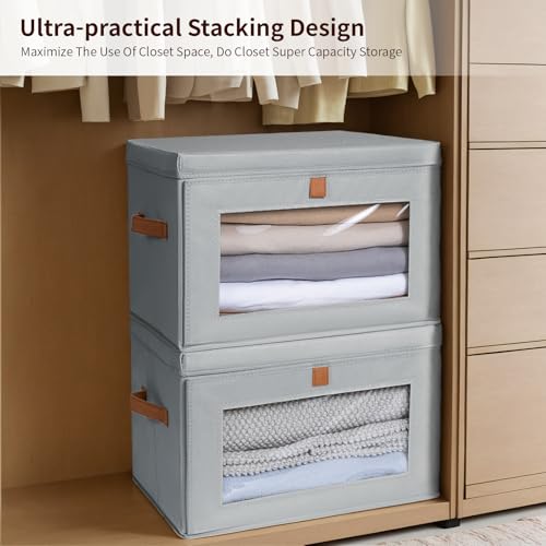 Large Closet Storage Organizer (2 Count)