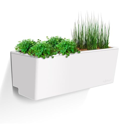Self Watering Planter Box