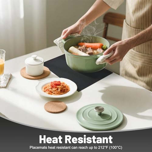 Placemats Set of 12 (12 Count)