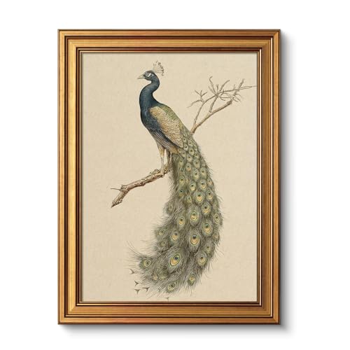 Vintage Gold Framed Wall Art