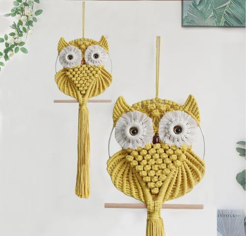 Owl Macrame Wall Hanging