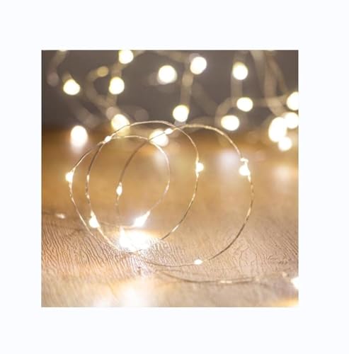 LEDs Fairy Lights (10 Foot)
