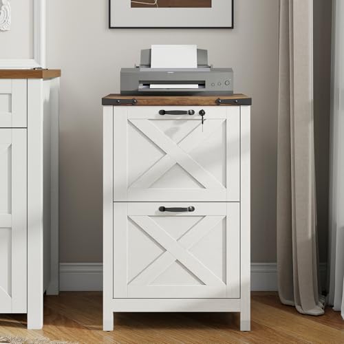 Vertical File Cabinet with 2 Drawers