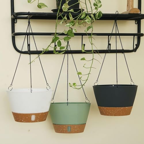 2 Pack 10 Inch Hanging Baskets for Plants Outdoor Indoor (72 Count)