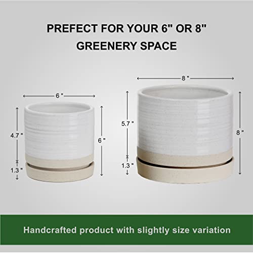 6 + 8 Inch Plant Pots
