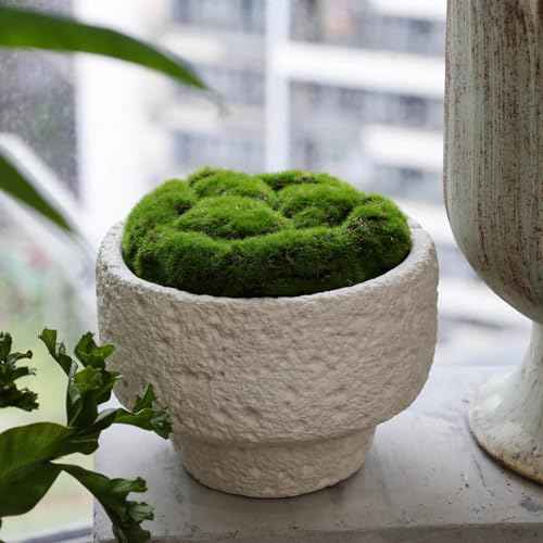 New Moss Bowl