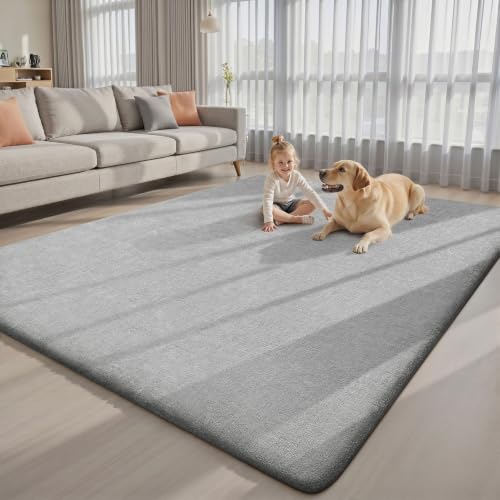 Area Rugs 9x12 for Living Room Bedroom