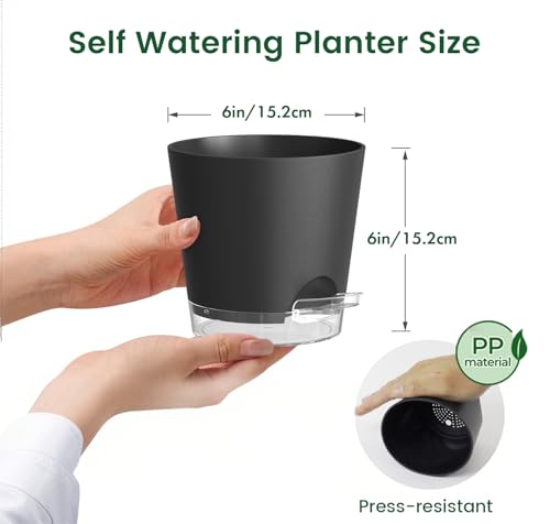 6 inch Self Watering Pots for Indoor Outdoor Plants (3 Count)