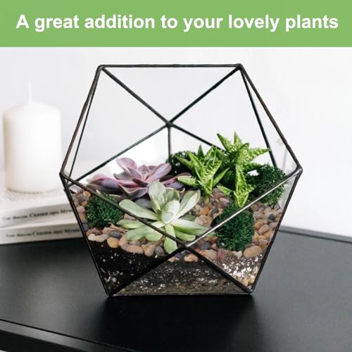 5 lbs Drainage Rocks for Potted Plants