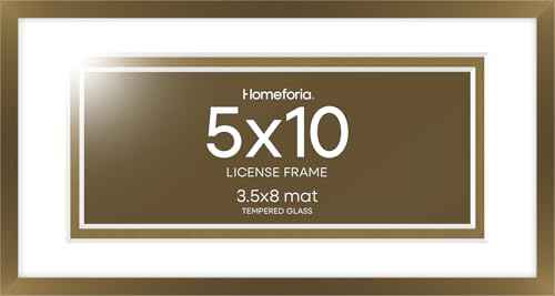 5x10 Bronze License Frame