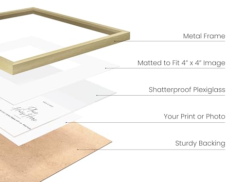 8x8 Gold Metal Picture Frames Matted to 4x4 (6 Count)