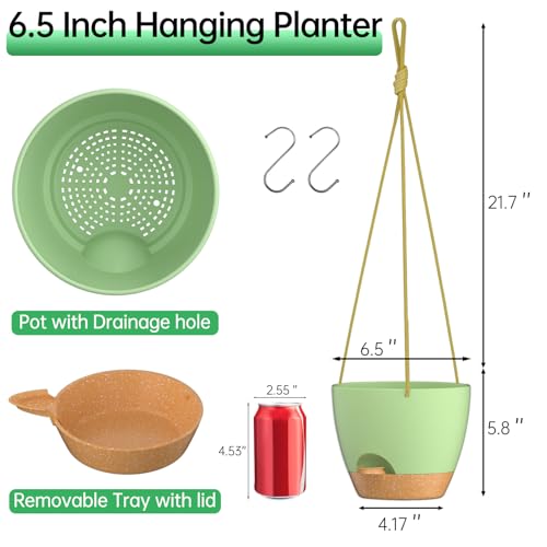 6.5 Inch Hanging Planters for Indoor Outdoor Plants (2 Count)