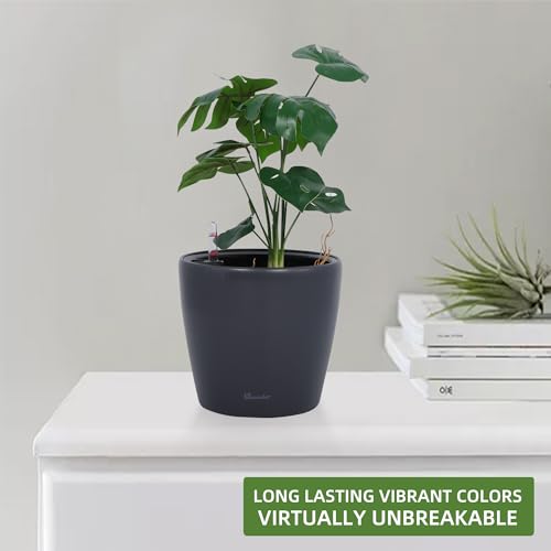 11x10 Self Watering Planter