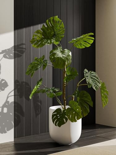 12 Inch Pots for Plants