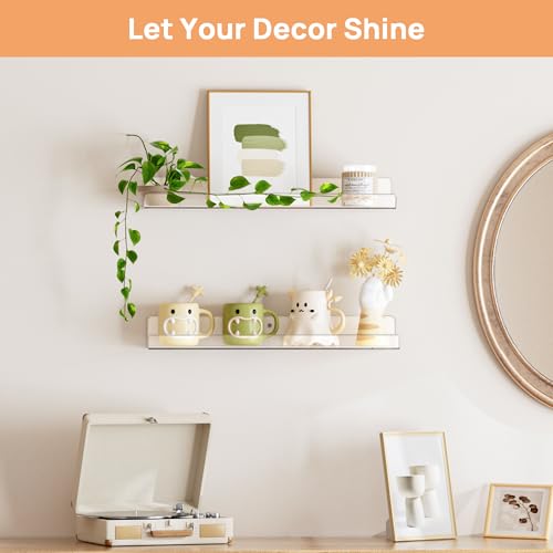2 Pcs 15" Acrylic Shelves for Wall Display and Storage (2 Count)