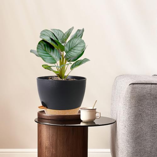 12/10/9 inch Large Self Watering Pots for Indoor Plants, Set of 3 (3 Count)