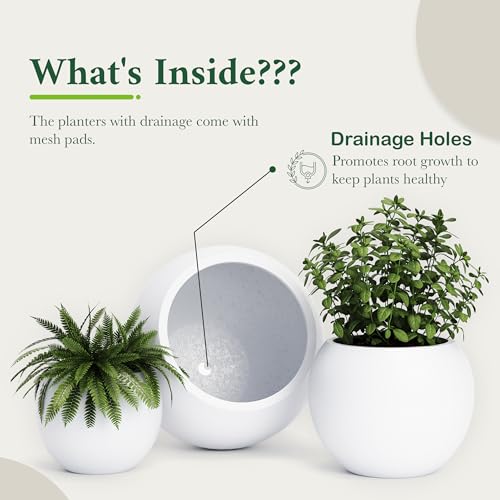 Fiberstone Sphere Planter for Olive Trees