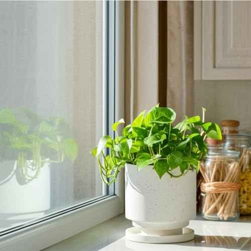 Ceramic Plant Pot Drainage Hole & Saucer for Indoor Plants