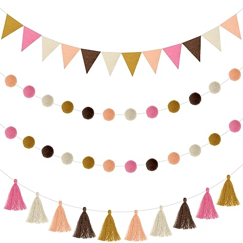 9.8 FT Rainbow Pom Pom Tassel Garland for Classroom Felt Boho Color