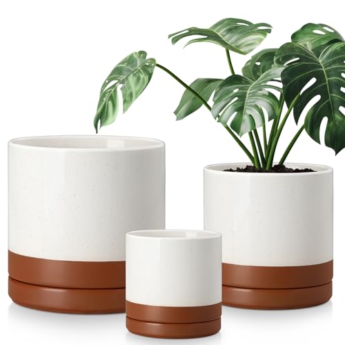 Ceramic Pots for Plants (3 Count)
