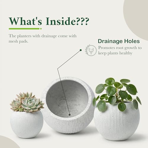 Premium Mt Sherman Fiberstone Sphere Planter for Indoor Outdoor Use