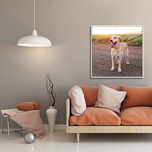 Custom Framed Canvas Prints with Your Photo for Pets