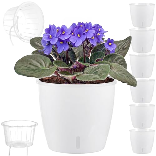 Self Watering Pots for Indoor Plants (6 Count)