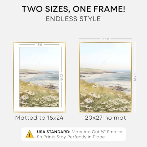 20x27 Gold Picture Frame (2 Count)
