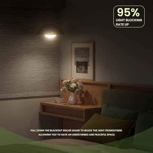 Blackout Roller Shades for Indoor Windows