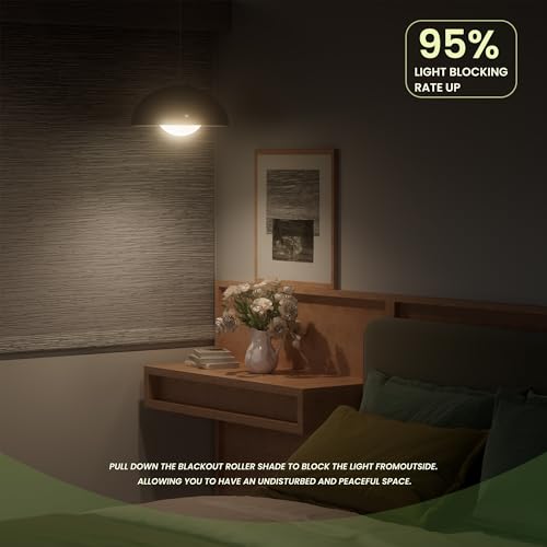 Blackout Roller Shades for Indoor Windows